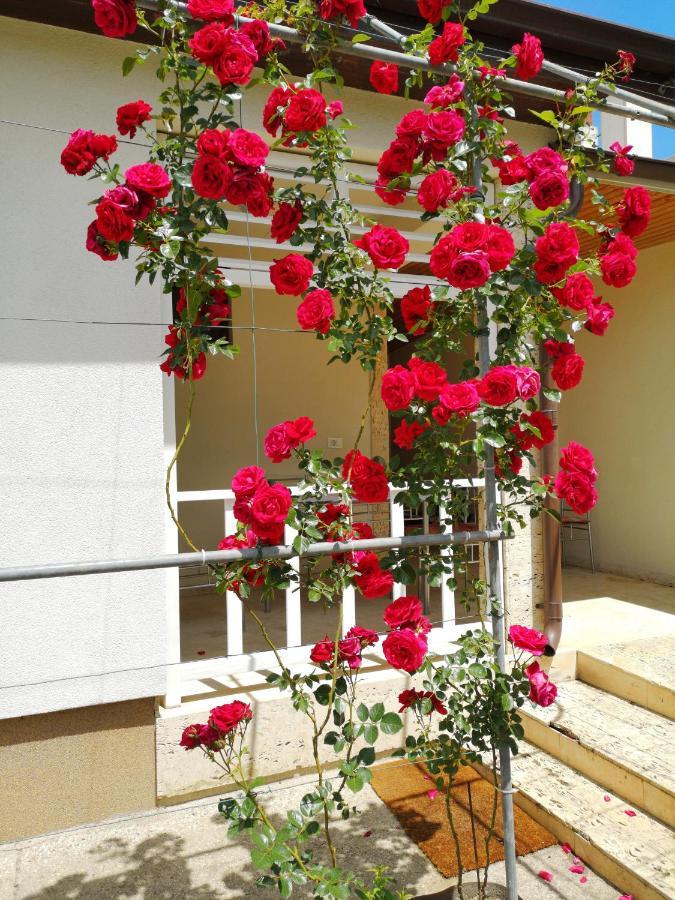 Brize Guest House Tuzla Εξωτερικό φωτογραφία